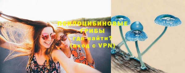 спайс Пересвет