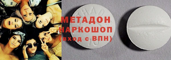 хмурый Аркадак