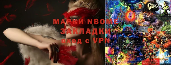 хмурый Аркадак