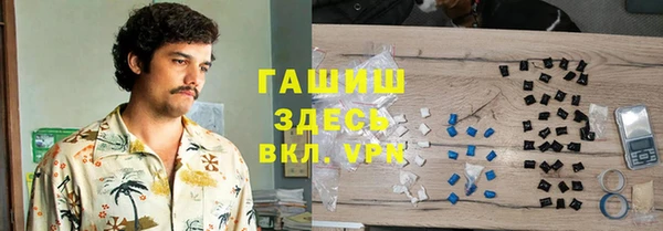 хмурый Аркадак